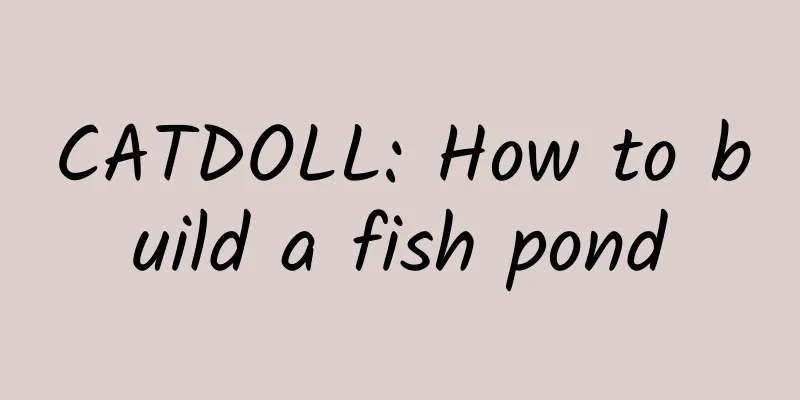 CATDOLL: How to build a fish pond