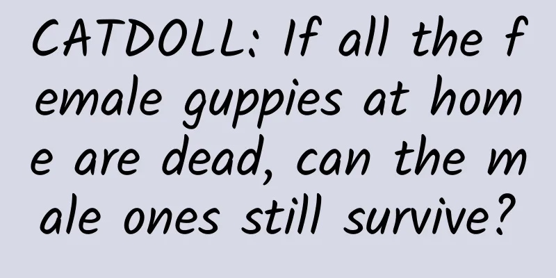 CATDOLL: If all the female guppies at home are dead, can the male ones still survive?