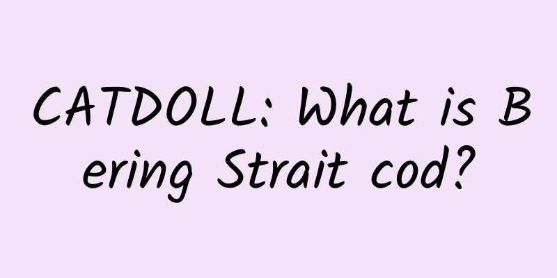 CATDOLL: What is Bering Strait cod?