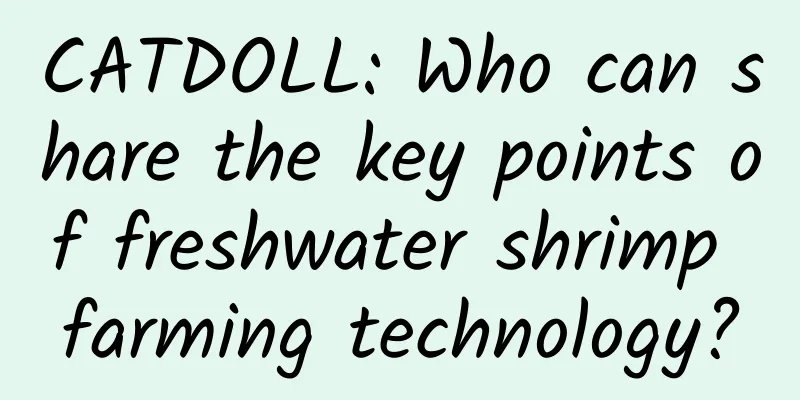 CATDOLL: Who can share the key points of freshwater shrimp farming technology?