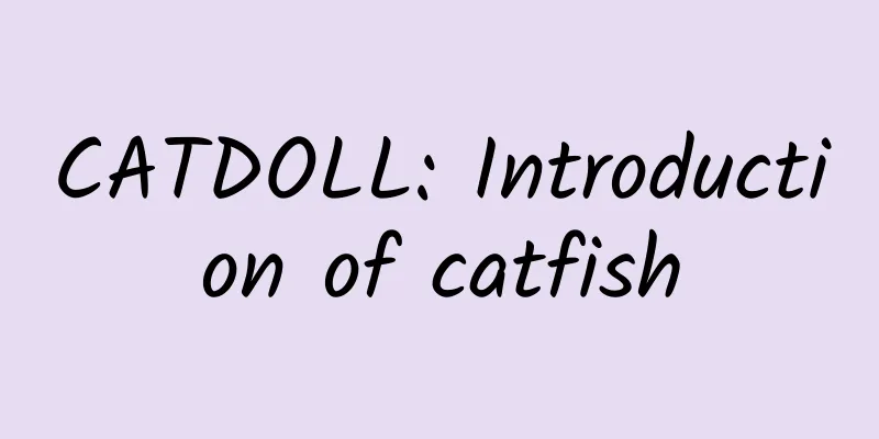 CATDOLL: Introduction of catfish