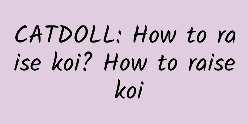 CATDOLL: How to raise koi? How to raise koi