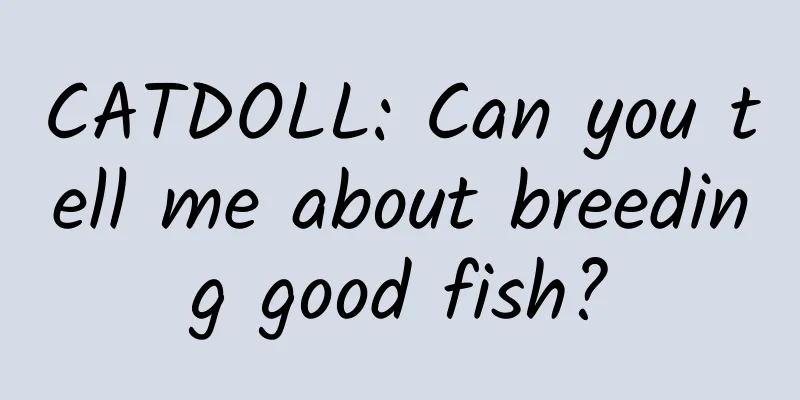 CATDOLL: Can you tell me about breeding good fish?