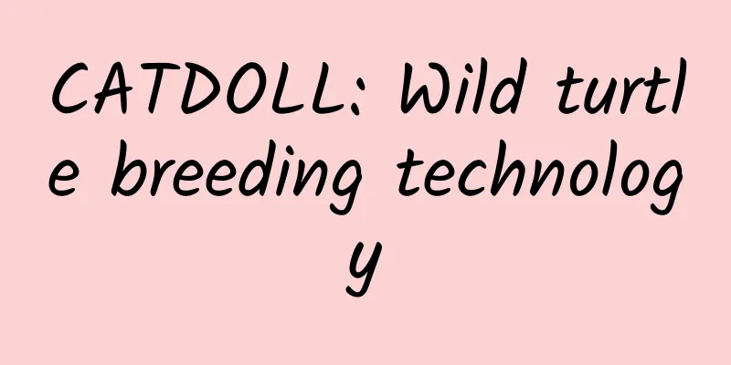 CATDOLL: Wild turtle breeding technology