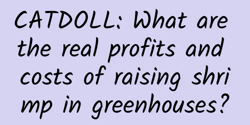 CATDOLL: What are the real profits and costs of raising shrimp in greenhouses?