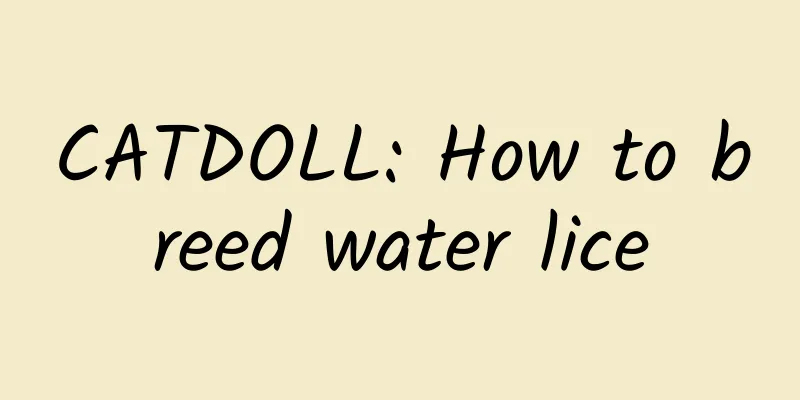 CATDOLL: How to breed water lice