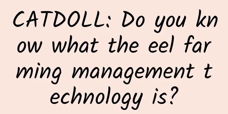 CATDOLL: Do you know what the eel farming management technology is?
