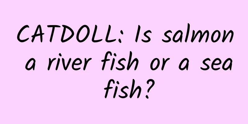 CATDOLL: Is salmon a river fish or a sea fish?