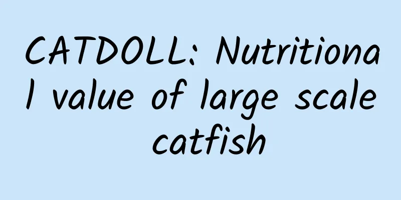 CATDOLL: Nutritional value of large scale catfish
