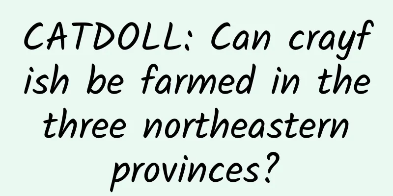 CATDOLL: Can crayfish be farmed in the three northeastern provinces?