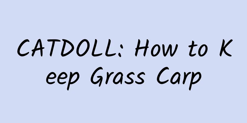 CATDOLL: How to Keep Grass Carp