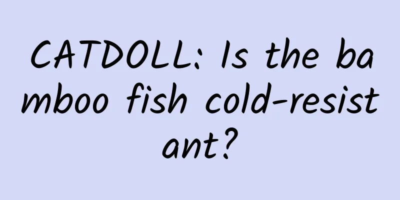 CATDOLL: Is the bamboo fish cold-resistant?