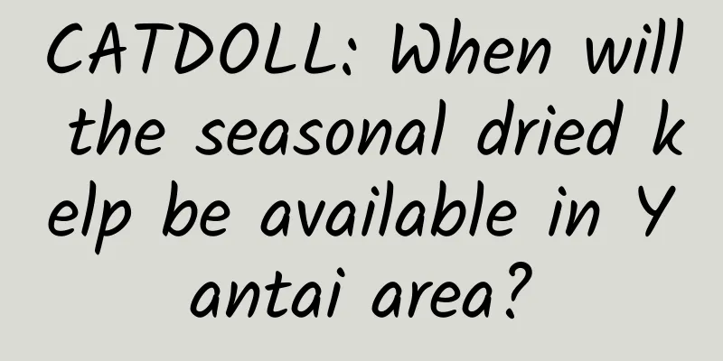 CATDOLL: When will the seasonal dried kelp be available in Yantai area?