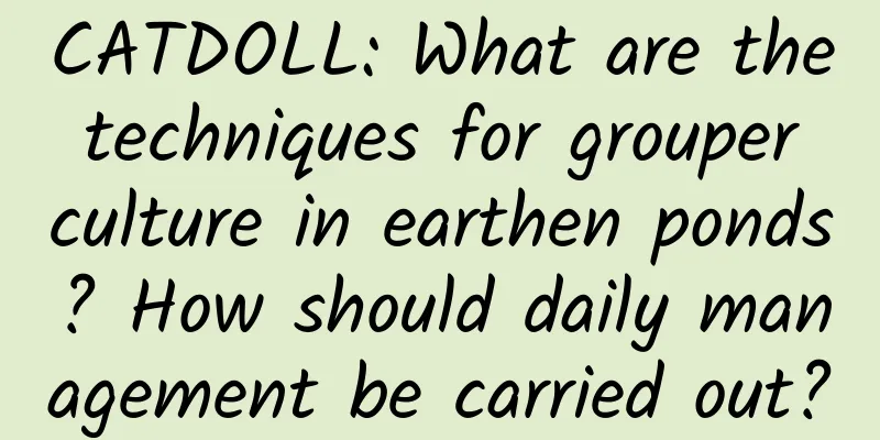 CATDOLL: What are the techniques for grouper culture in earthen ponds? How should daily management be carried out?