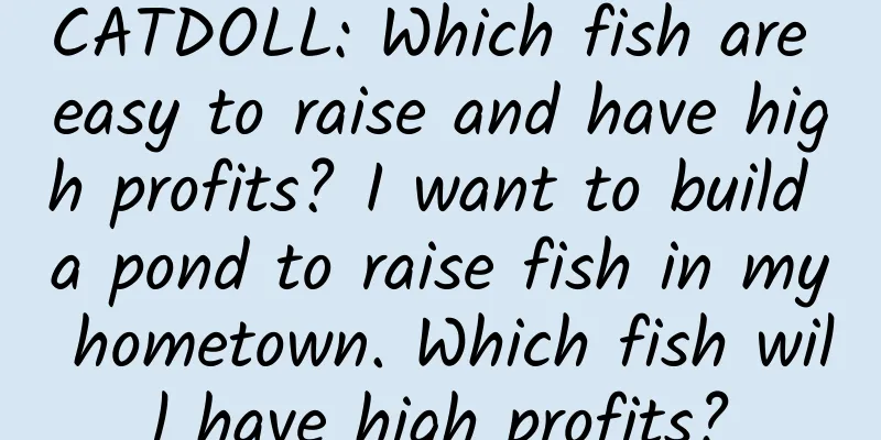 CATDOLL: Which fish are easy to raise and have high profits? I want to build a pond to raise fish in my hometown. Which fish will have high profits?