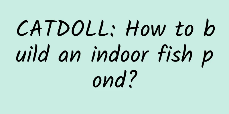 CATDOLL: How to build an indoor fish pond?