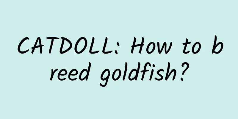 CATDOLL: How to breed goldfish?