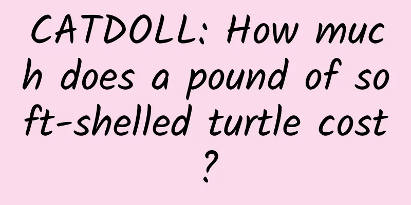 CATDOLL: How much does a pound of soft-shelled turtle cost?