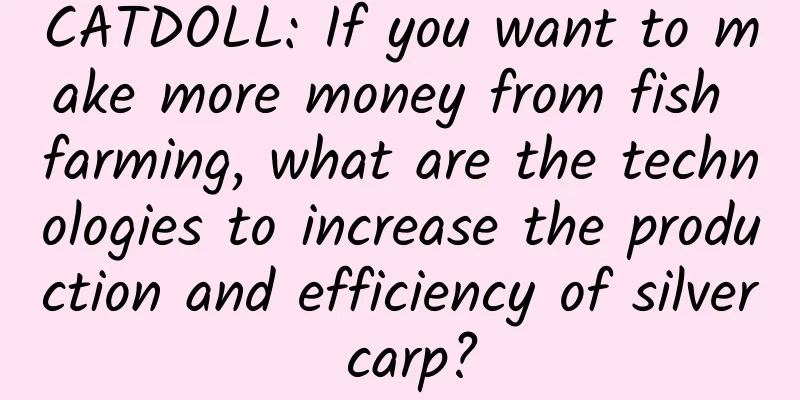 CATDOLL: If you want to make more money from fish farming, what are the technologies to increase the production and efficiency of silver carp?