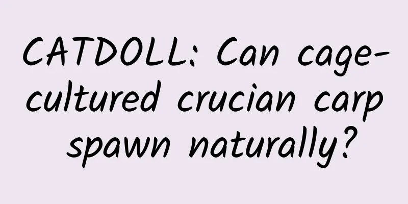 CATDOLL: Can cage-cultured crucian carp spawn naturally?