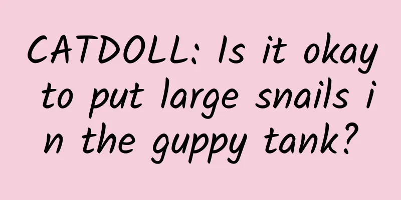 CATDOLL: Is it okay to put large snails in the guppy tank?