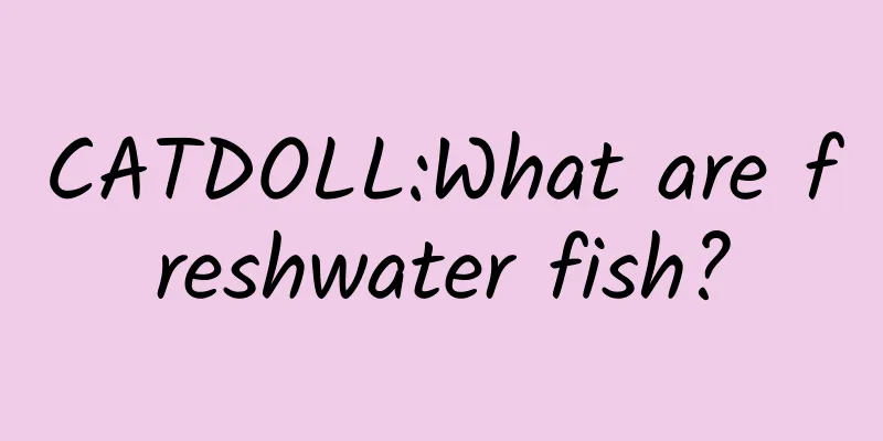 CATDOLL:What are freshwater fish?