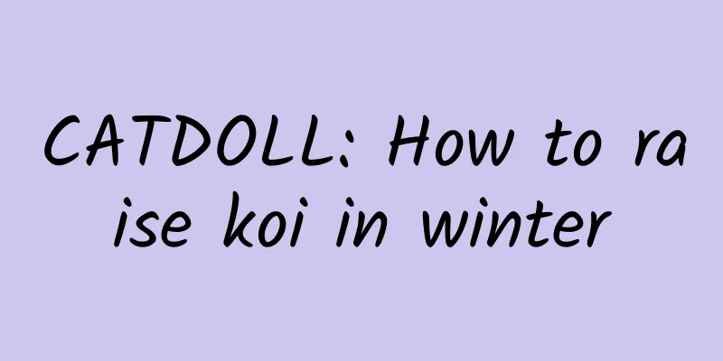 CATDOLL: How to raise koi in winter
