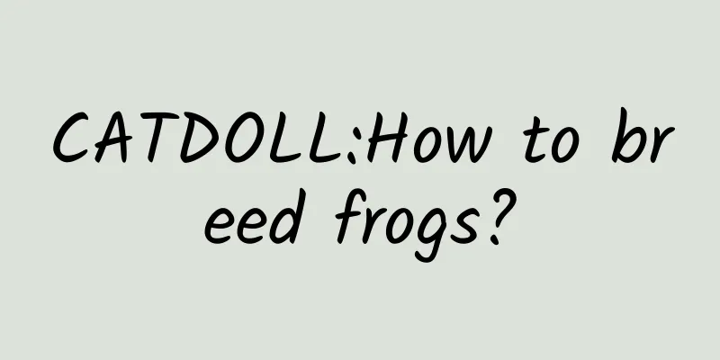 CATDOLL:How to breed frogs?