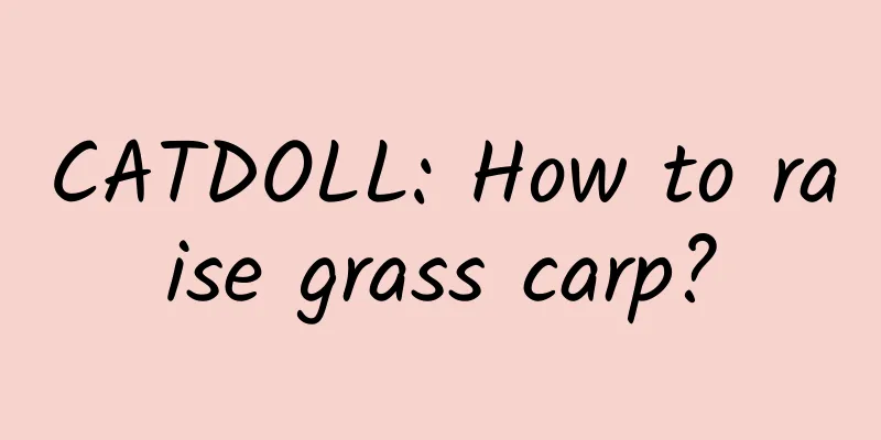 CATDOLL: How to raise grass carp?