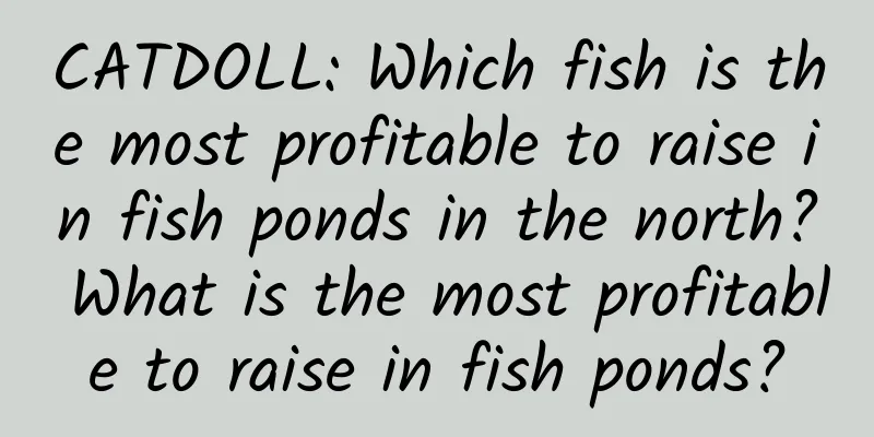 CATDOLL: Which fish is the most profitable to raise in fish ponds in the north? What is the most profitable to raise in fish ponds?
