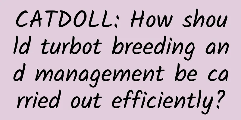 CATDOLL: How should turbot breeding and management be carried out efficiently?