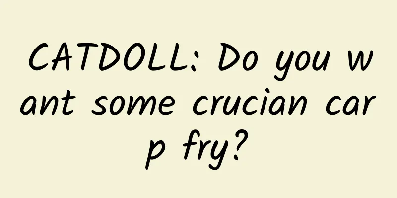 CATDOLL: Do you want some crucian carp fry?