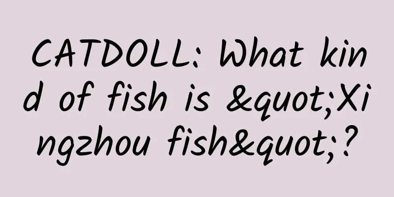 CATDOLL: What kind of fish is "Xingzhou fish"?