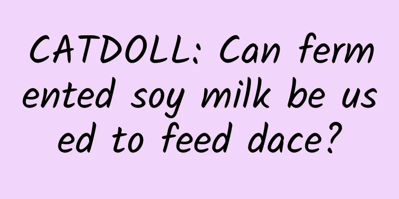 CATDOLL: Can fermented soy milk be used to feed dace?