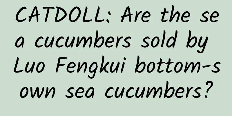 CATDOLL: Are the sea cucumbers sold by Luo Fengkui bottom-sown sea cucumbers?