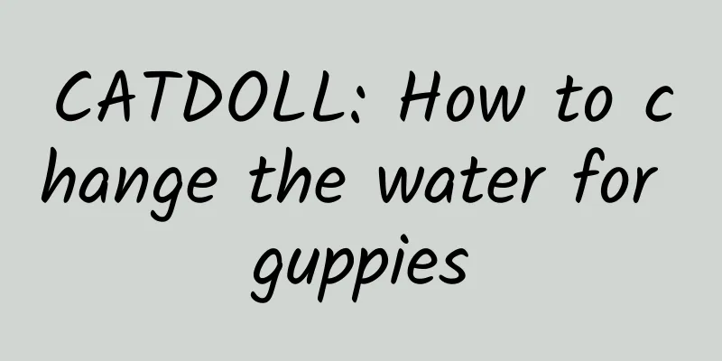 CATDOLL: How to change the water for guppies