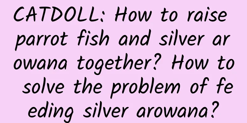 CATDOLL: How to raise parrot fish and silver arowana together? How to solve the problem of feeding silver arowana?