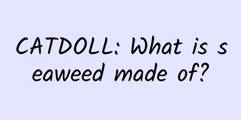 CATDOLL: What is seaweed made of?