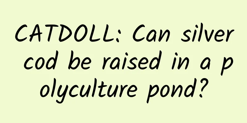 CATDOLL: Can silver cod be raised in a polyculture pond?