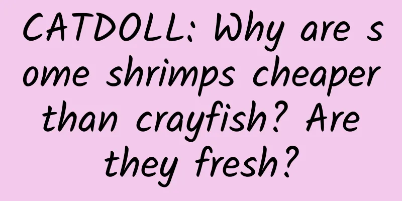 CATDOLL: Why are some shrimps cheaper than crayfish? Are they fresh?