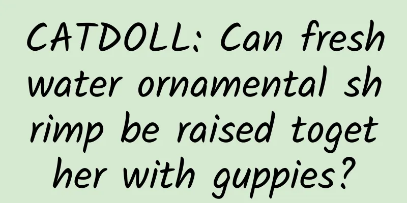 CATDOLL: Can freshwater ornamental shrimp be raised together with guppies?