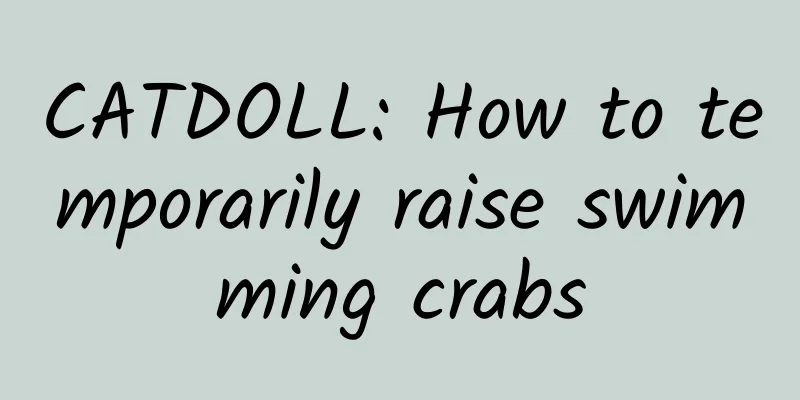 CATDOLL: How to temporarily raise swimming crabs