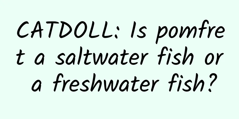 CATDOLL: Is pomfret a saltwater fish or a freshwater fish?