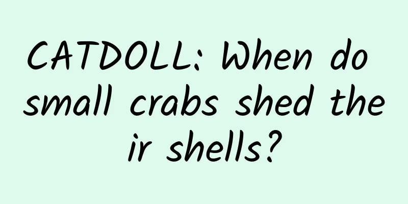 CATDOLL: When do small crabs shed their shells?