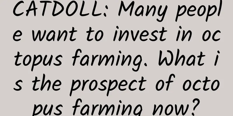 CATDOLL: Many people want to invest in octopus farming. What is the prospect of octopus farming now?