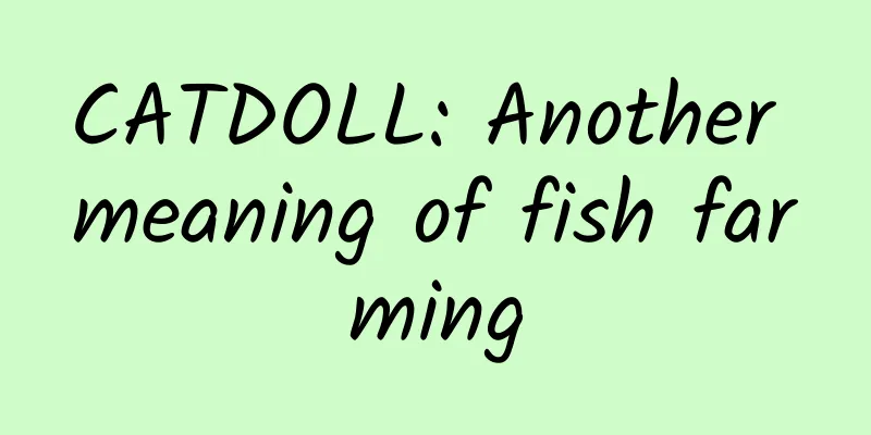 CATDOLL: Another meaning of fish farming