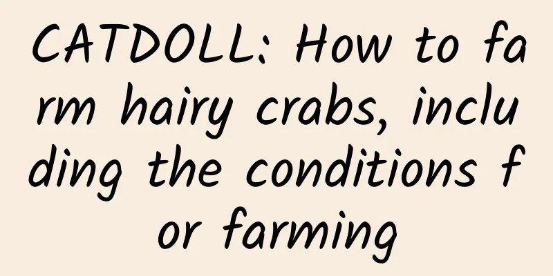 CATDOLL: How to farm hairy crabs, including the conditions for farming