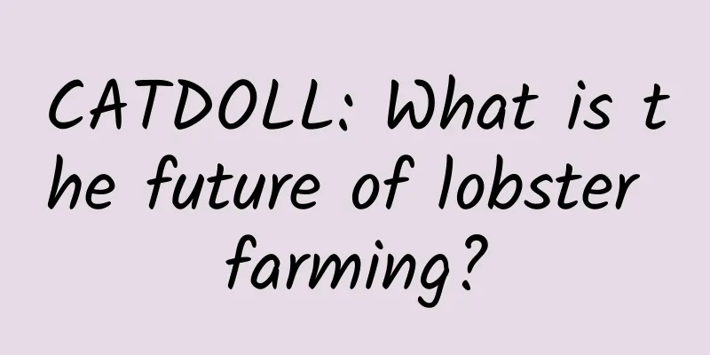 CATDOLL: What is the future of lobster farming?