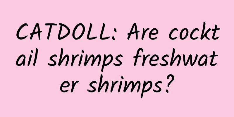 CATDOLL: Are cocktail shrimps freshwater shrimps?