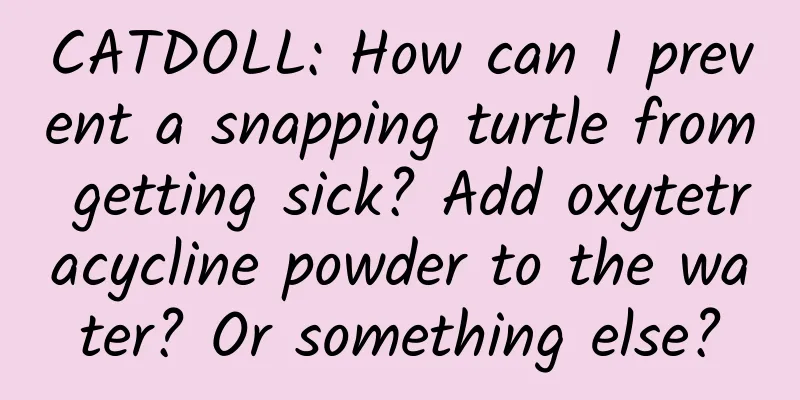 CATDOLL: How can I prevent a snapping turtle from getting sick? Add oxytetracycline powder to the water? Or something else?